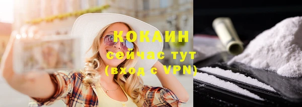 крисы Пересвет