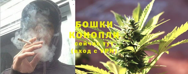 крисы Пересвет