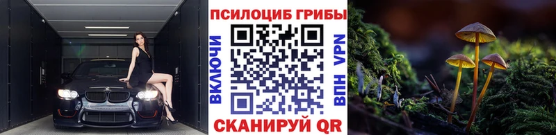Галлюциногенные грибы мухоморы  закладка  Артёмовский 