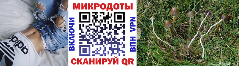 Псилоцибиновые грибы ЛСД Артёмовский